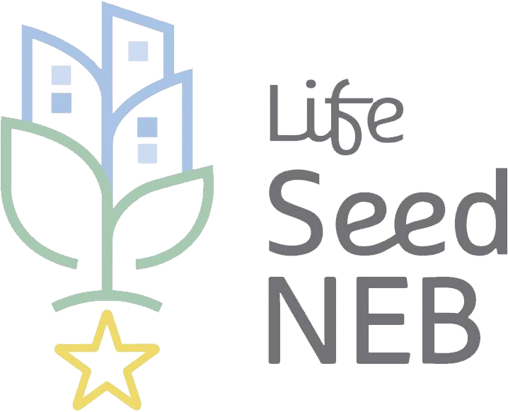 466655250_122122573556515054_9103994411597432584_n - András Merza